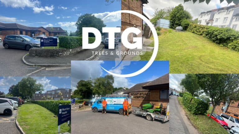 Devon Trees & Grounds Ltd landscaping and tree care services in Devon.