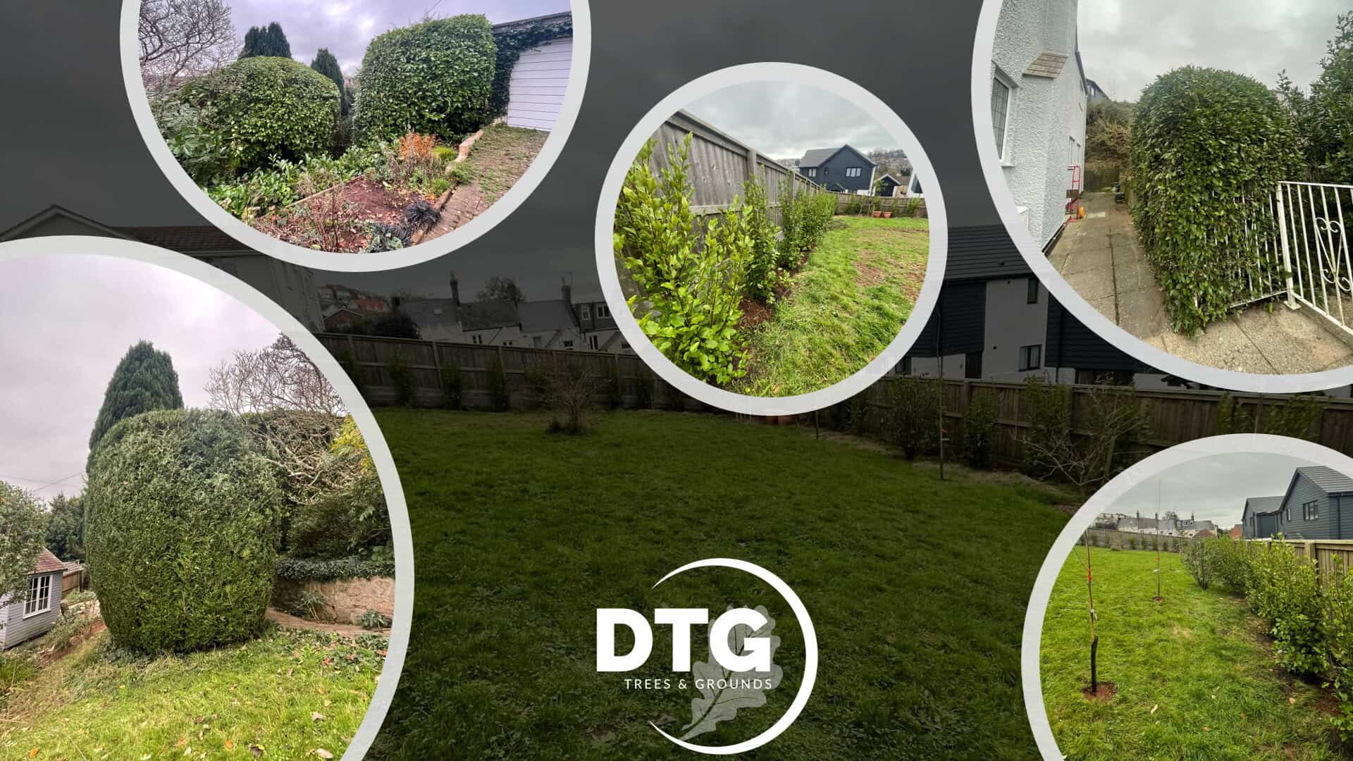 Professional tree and garden maintenance by Devon Trees & Grounds Ltd.
