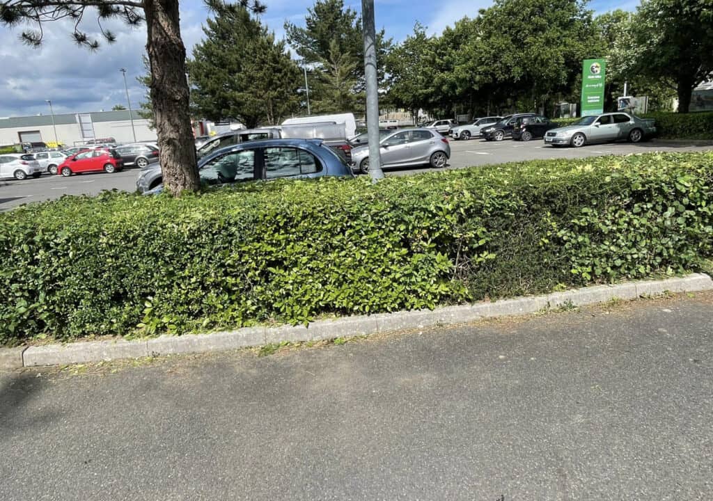 Hedge and parking lot with cars and trees in Devon, UK.