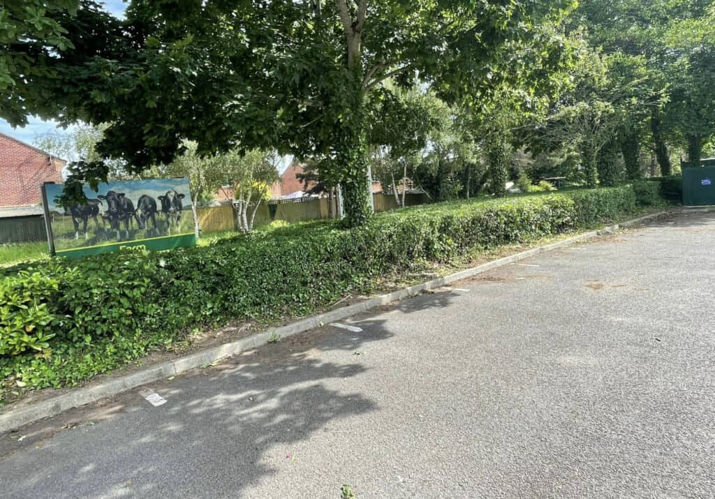 Tree-lined parking area with hedges and mural in Devon, UK.