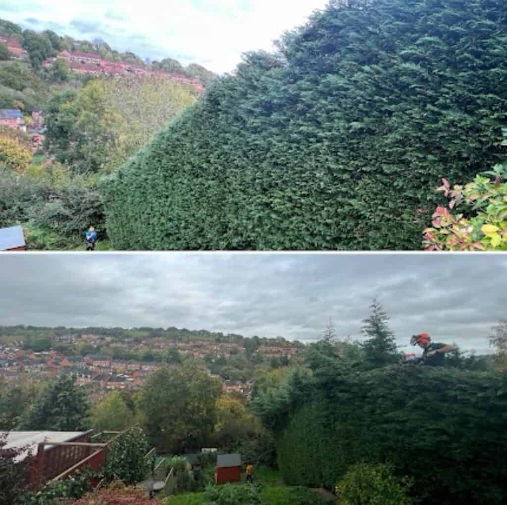 Hedge trimming and garden maintenance by Devon Trees & Grounds Ltd.