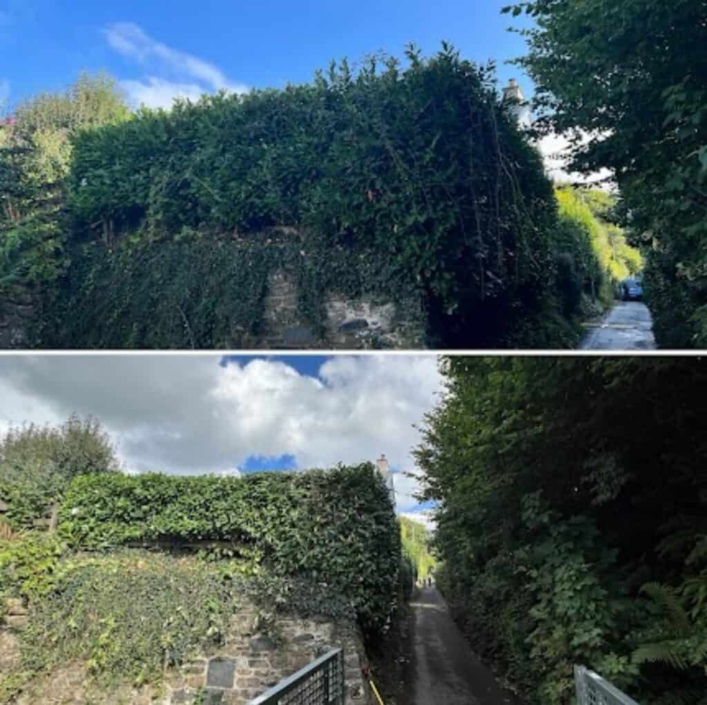 Hedge trimming and pruning by Devon Trees & Grounds Ltd in a residential area.