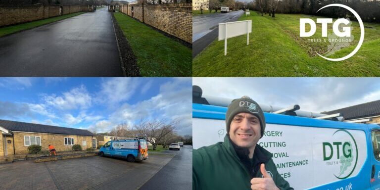 Devon Trees & Grounds Ltd landscaping and tree care services in Devon.