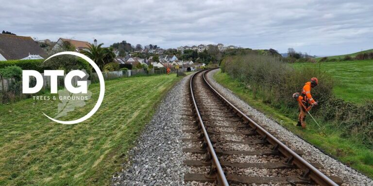 Tree maintenance workers near railway tracks in Devon, UK.