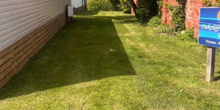 Lush green garden with large tree and trimmed lawn beside a house and brick wall.