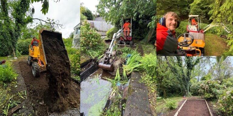 Devon Trees & Grounds Ltd team working on tree and garden maintenance tasks.