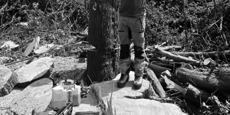 Man standing on a tree stump after tree removal in Devon.