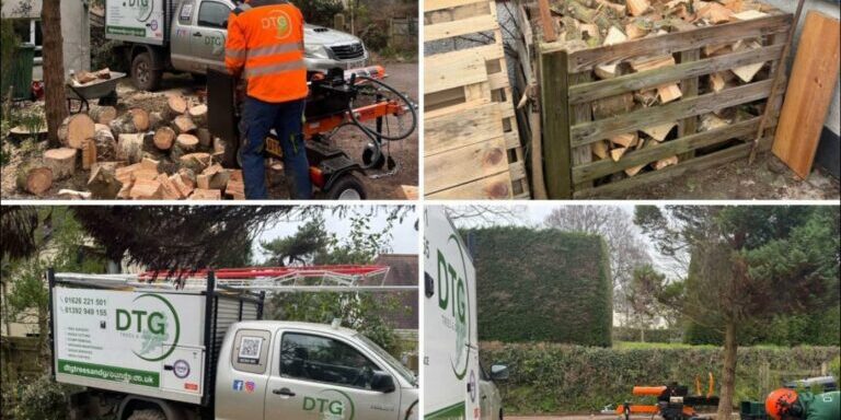 Devon Trees & Grounds Ltd team working on tree and garden maintenance projects.