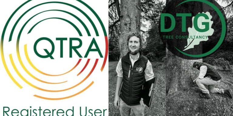 Devon Trees & Grounds Ltd team inspecting a large tree in a woodland area.
