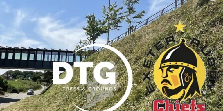 Devon Trees & Grounds logo with a hillside and footbridge in background.