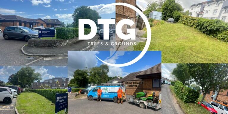 Devon Trees & Grounds Ltd landscaping and tree care services in Devon.