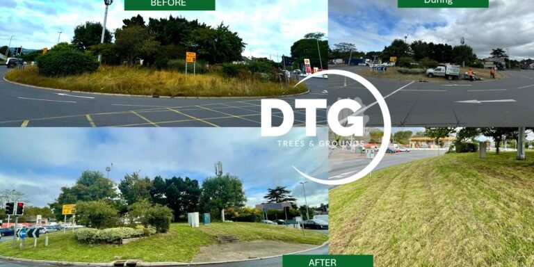 Tree and landscape maintenance before, during, and after work at Devon Trees & Grounds Ltd.