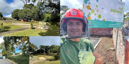 Devon Trees & Grounds Ltd team working on tree and ground maintenance in a park.